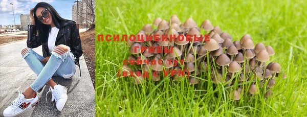 а пвп мука Алексин