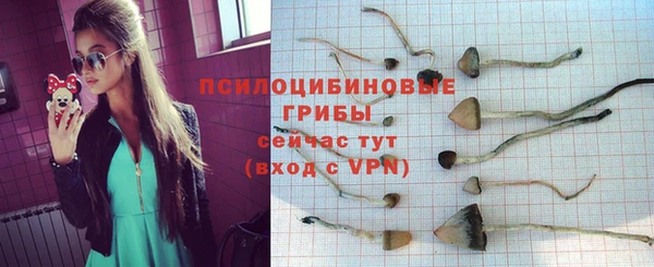 круглые Алексеевка