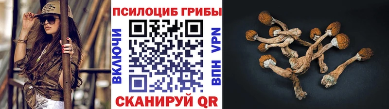 Псилоцибиновые грибы прущие грибы Усолье-Сибирское